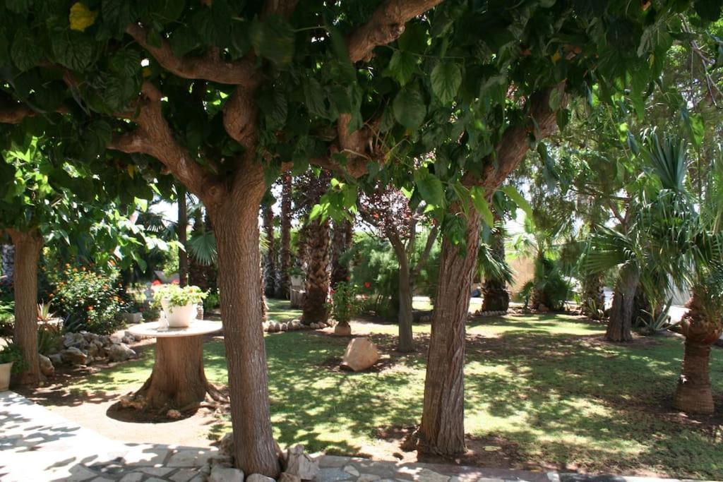 Chalet In Peñíscola 外观 照片